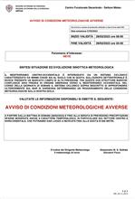 Allerta meteo per neve