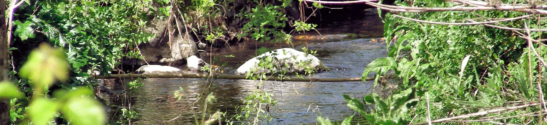 Comune di Sennariolo